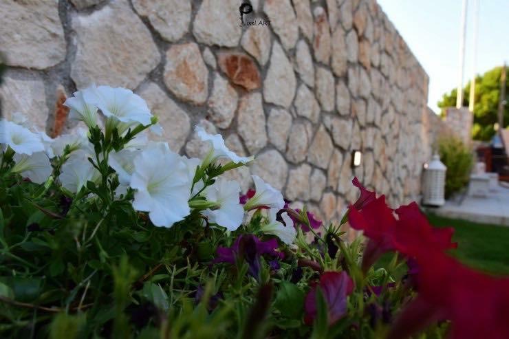 Sofelia Home Stavros  Exterior photo